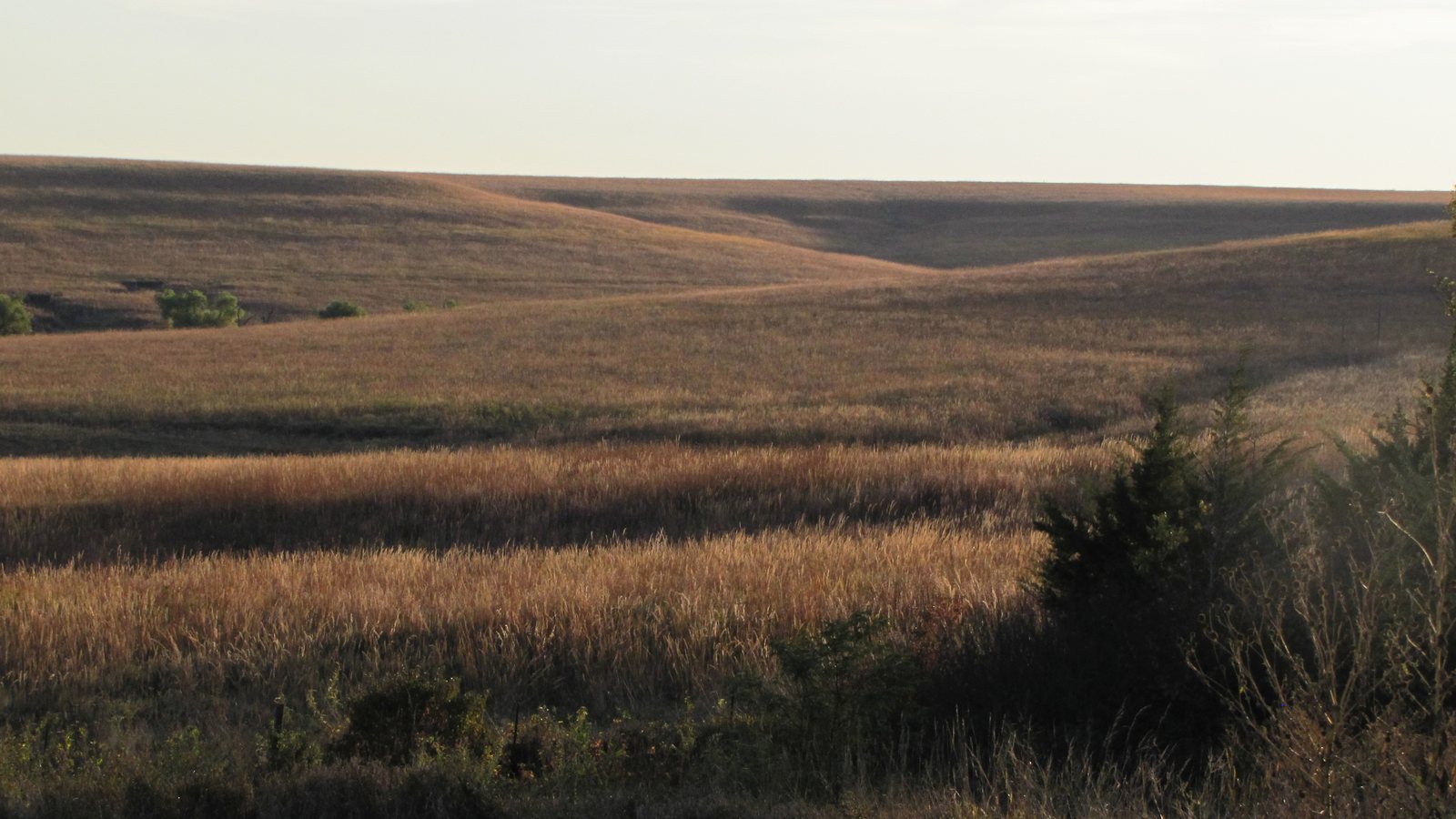 Rolling Flint Hills at Tallgrass Prairie National Preserve.